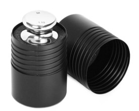 Pesi Campione Classe M1 inox  2