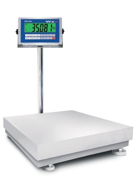 	Bilancia a bilico Professionale Inox AISI 304 WXS