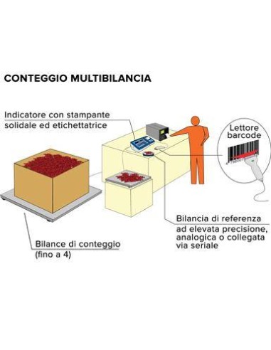 Esempio sistema multipiattaforma Bilancia Contapezzi KSTP