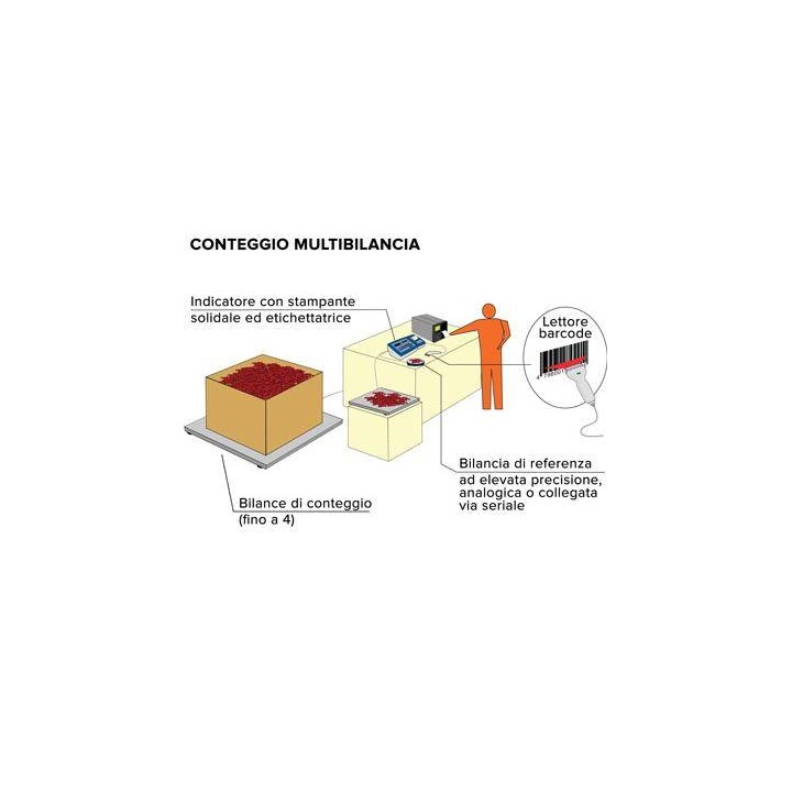 Esempio sistema multipiattaforma Bilancia Contapezzi KSTP