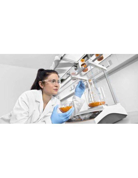 Bilancia Sartorius serie BCE ENTRIS II applicazione