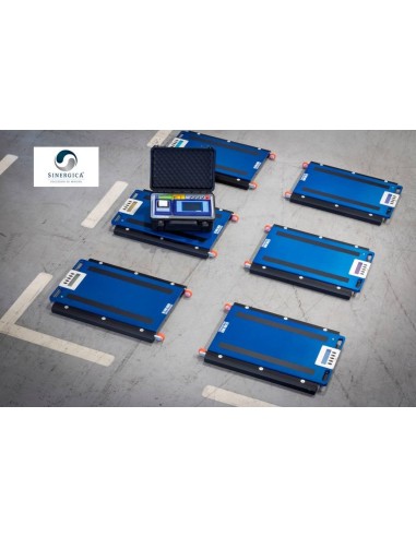 Pesa camion a 6 piattaforma