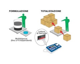 Esempio applicazione Software formulazione totalizzazione