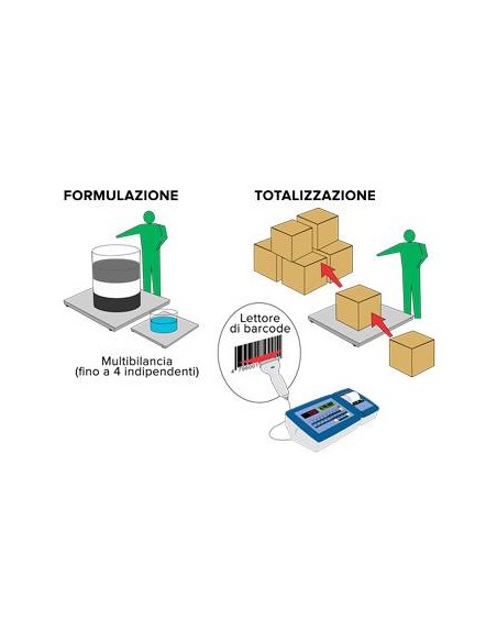 Esempio applicazione Software formulazione totalizzazione