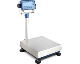 Bilancia professionale per Pitture serie WP 2