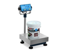 Bilancia professionale per Pitture serie WP