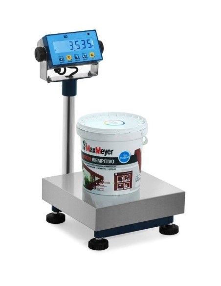 Bilancia professionale per Pitture serie WP