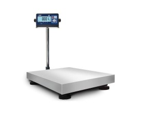 Bilancia bilico professionale WP1