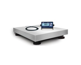 Bilancia bilico professionale WP1 2