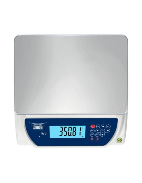 Bilancia Omologata 6kg x 1 g vista da alto