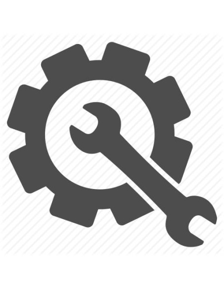 Servizio di manutenzione e/o taratura e/o mappatura