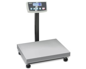 Bilancia professionale per Vernici 30kg x 0,1g 2