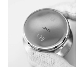 Servizio di marcatura Laser per pesi campione