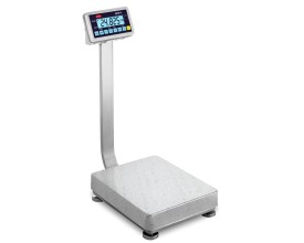 Bilancia da pavimento IP67 per ambienti umidi AFS II