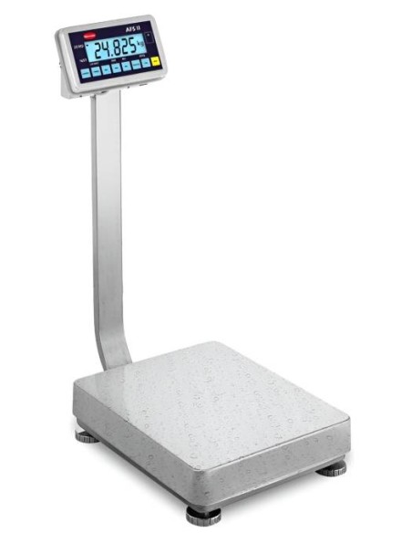 Bilancia da pavimento IP67 per ambienti umidi AFS II