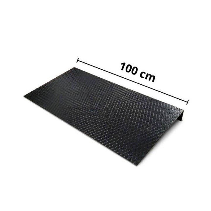 Rampa di salita per piattaforme 100 cm