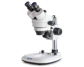 Stereomicroscopio Kern OZL-463