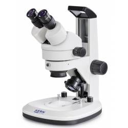 Stereomicroscopio Kern OZL-463 2