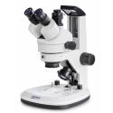 Stereomicroscopio Kern OZL-468