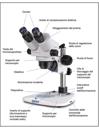 Stereomicroscopio KERN OZL-451 come è fatto