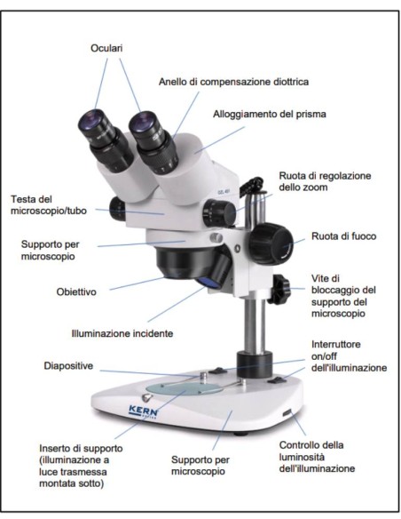 Stereomicroscopio KERN OZL-451 come è fatto