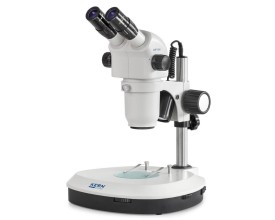 Stereomicroscopio professionale Led KERN OZP 556