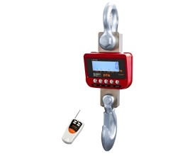 Dinamometro carroponte Omologato DTA con telecomando