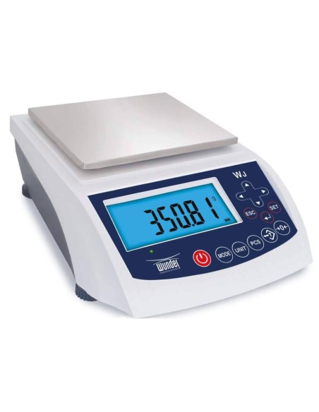 Bilancia metrica omologata in classe di taratura II