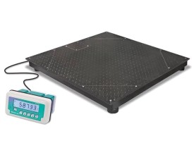 Bilancia industriale da Pavimento ISPS