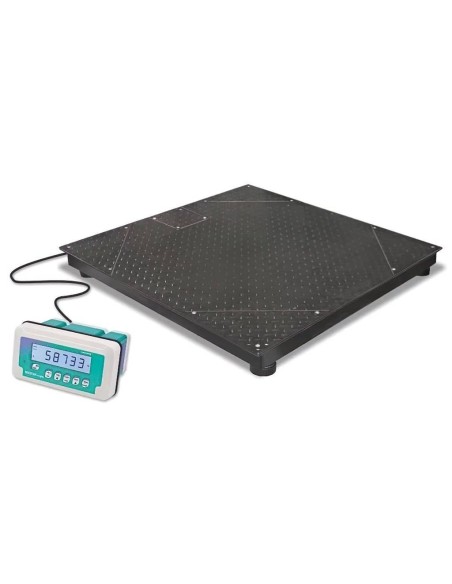 Bilancia industriale da Pavimento ISPS