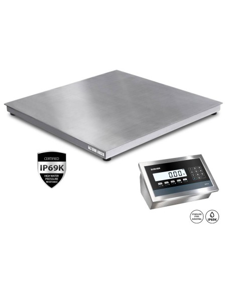 Bilancia da pavimento IP69K