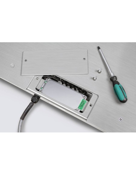 Botola ispezionabile bilancia inox BFN-I