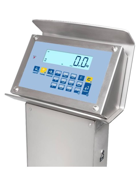 Transpallet Bilancia TPWI PRO display peso