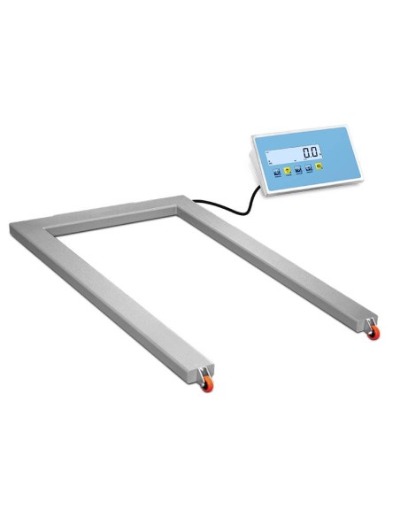 Bilancia Pesa Pallet Inox con display libero