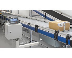 Linea di pesatura con bilancia e rulliere