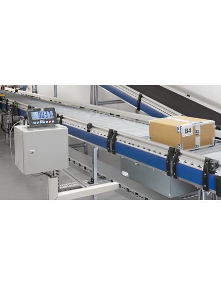 Linea di pesatura con bilancia e rulliere