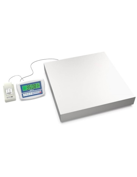 Bilancia Industriale a piattaforma TWP con Etichettatrice Sinergica Proweigh