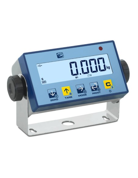 Display BINS30 versione senza stampante