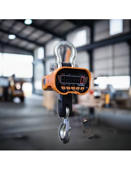 Dinamometro OCS per pesatura su carriponte e gru