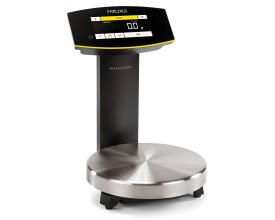 Bilancia SARTORIUS PMA EVOLUTION EVO1S1N1-C