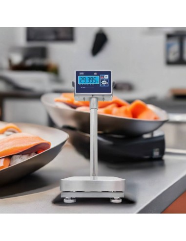 Bilancia Inox WBS per pescheria