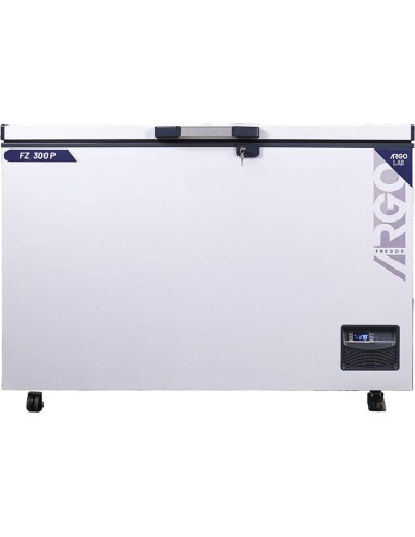 FZ 300-P CONGELATORE A POZZETTO