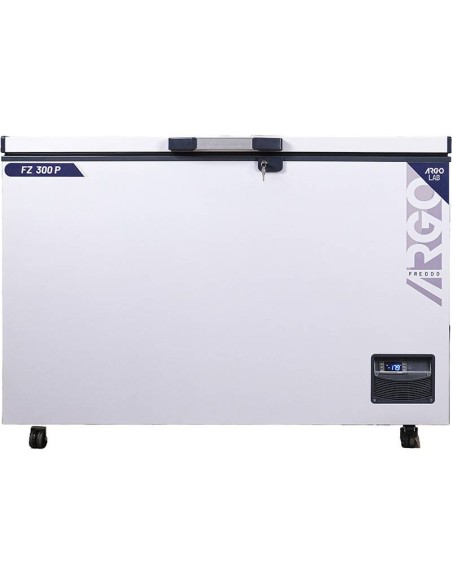 FZ 300-P CONGELATORE A POZZETTO