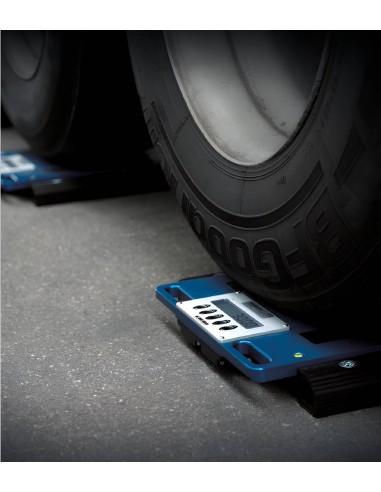 Piattaforme pesatura WWS