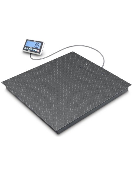 Bilancia per merci pesanti con portata 8.000 kg