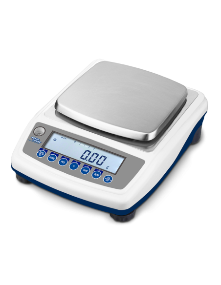 Bilancia HLD Scale House