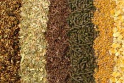 Soluzioni di Pesatura per Mangimi e Pet Food