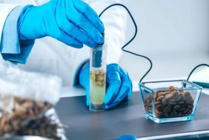 Come scegliere un pHmetro per alimenti: la guida completa